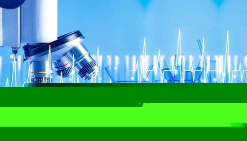 玉米加工业变革 技术驱动全球产业新格局