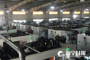 海宁577个“小巨人”激发科技创新大动能